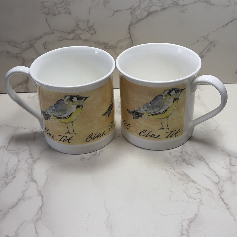 Rose of England Fine Bone China Coffee Tea Mug Set Of 2 Blue Tit Bird Nature